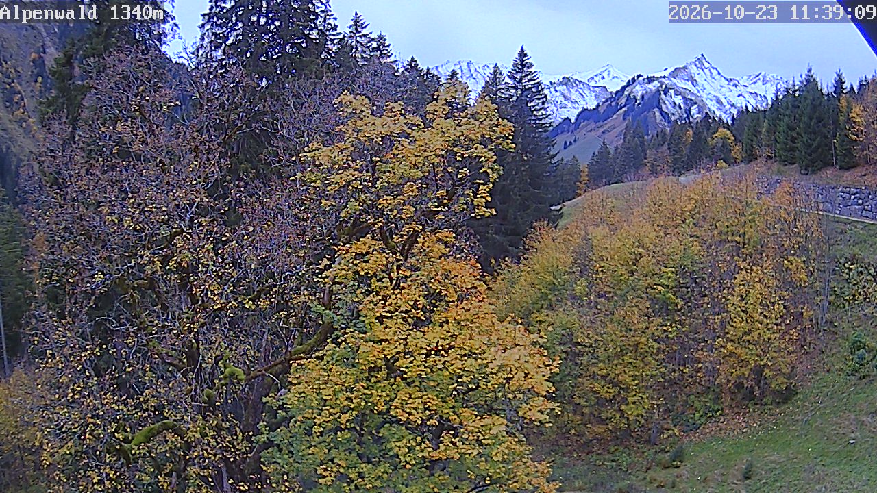 Bild: Gasthof Alpenwald